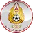 Al Mesaimeer SC logo