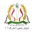 Mes Novin Kerman logo