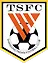 Shandong Taishan Football Club logo