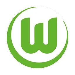 VfL Wolfsburg profile photo