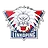 Linkopings (w) logo