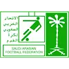 Saudi Arabia U17 Premier League logo