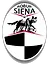 ACN Siena Youth logo