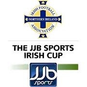Northern Ireland Cup logo