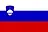 Slovenia Cup country flag