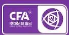 CHN Women's League Two logo