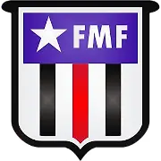 Brazilian Campeonato Mineiro Division 1 logo