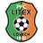 Litex Lovech logo