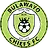 Bulawayo Chiefs logo