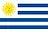 Uruguay Primera Division country flag