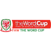Welsh Challenge League Cup logo