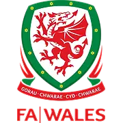 Welsh Football League First Division logo