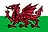 Welsh Cup country flag
