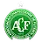 Chapecoense SC U23 logo