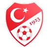 Turkish U18 League logo