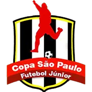Brazilian Youth Cup logo
