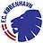 Copenhagen Reserve logo