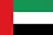 United Arab Emirates Pro-League country flag