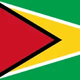 Guyana Elite League logo