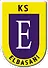 KS Elbasani logo